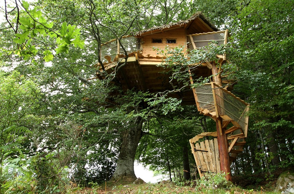 migratory tree house