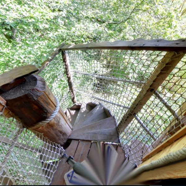 Migratory Tree House - Image 6