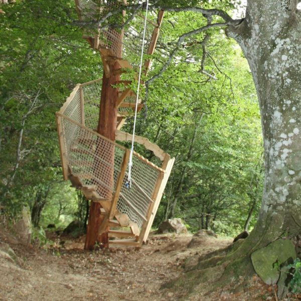 Tree House Auvergne Rhône Alpes