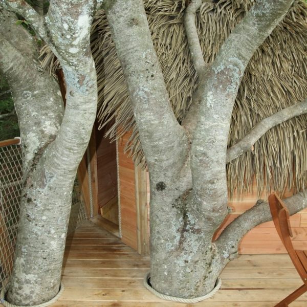 Migratory Tree House - Image 4